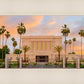 Mesa Palm Trees