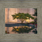 Portland Peaceful Gardens