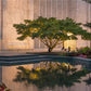Portland Peaceful Gardens