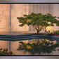 Portland Peaceful Gardens