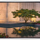Portland Peaceful Gardens