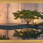 Portland Peaceful Gardens