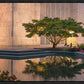 Portland Peaceful Gardens