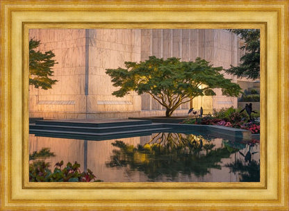 Portland Peaceful Gardens