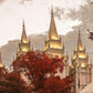 Salt Lake Temple 05