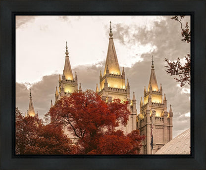 Salt Lake Temple 05