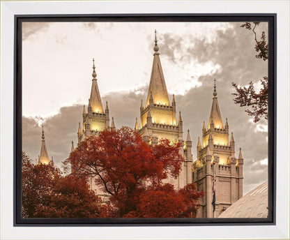 Salt Lake Temple 05