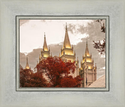 Salt Lake Temple 05