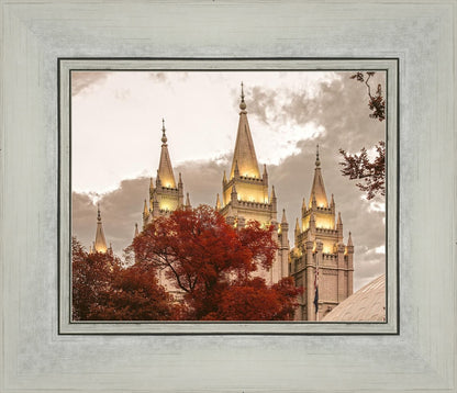Salt Lake Temple 05