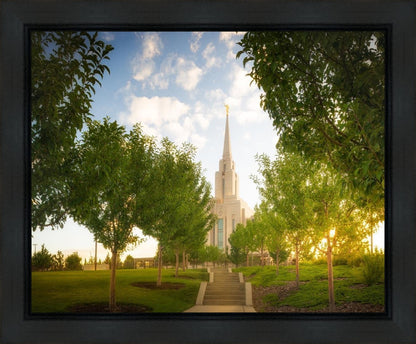 Oquirrh Mountain Golden Glow