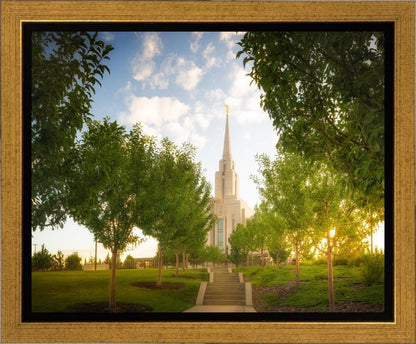 Oquirrh Mountain Golden Glow