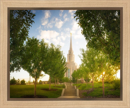 Oquirrh Mountain Golden Glow