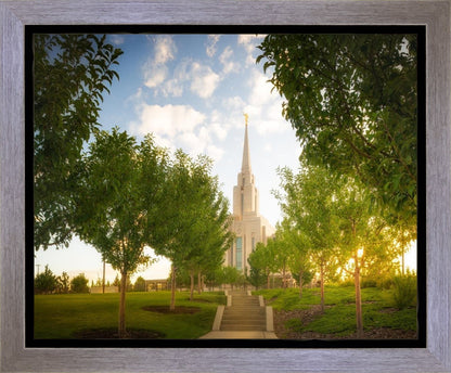 Oquirrh Mountain Golden Glow