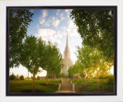 Oquirrh Mountain Golden Glow