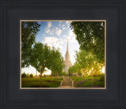 Oquirrh Mountain Golden Glow