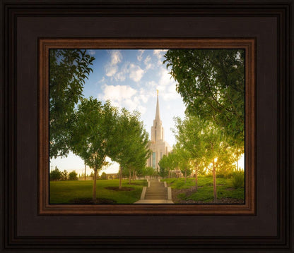 Oquirrh Mountain Golden Glow