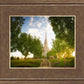 Oquirrh Mountain Golden Glow