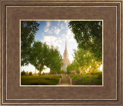 Oquirrh Mountain Golden Glow