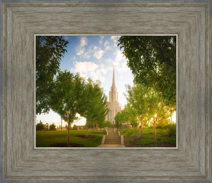 Oquirrh Mountain Golden Glow