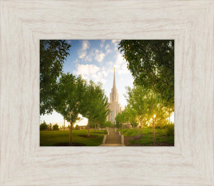 Oquirrh Mountain Golden Glow