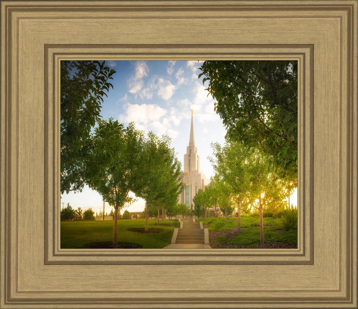 Oquirrh Mountain Golden Glow