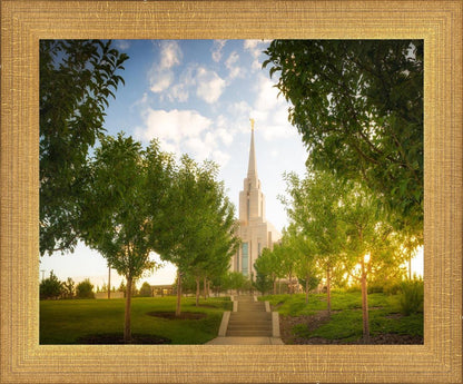 Oquirrh Mountain Golden Glow