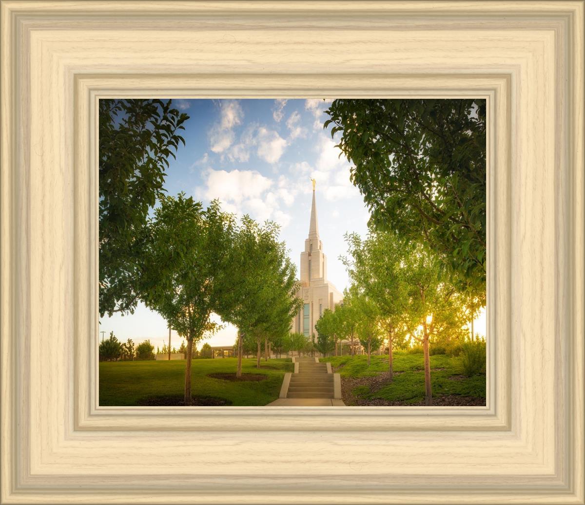 Oquirrh Mountain Golden Glow