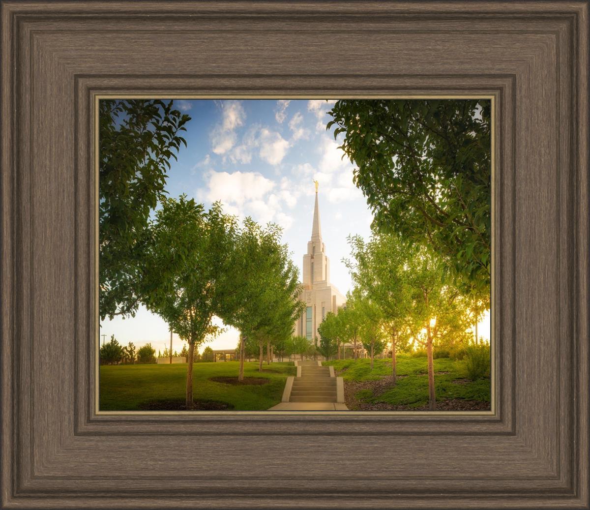 Oquirrh Mountain Golden Glow