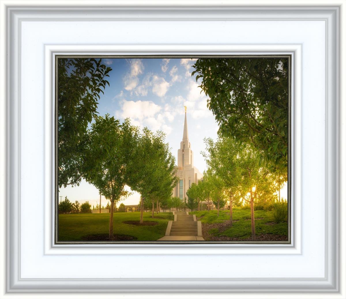 Oquirrh Mountain Golden Glow