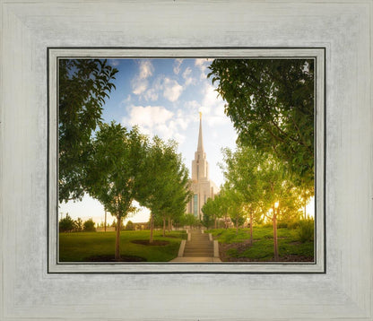 Oquirrh Mountain Golden Glow