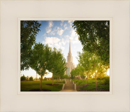 Oquirrh Mountain Golden Glow