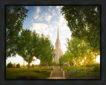 Oquirrh Mountain Golden Glow