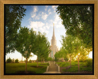 Oquirrh Mountain Golden Glow