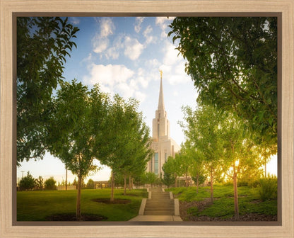 Oquirrh Mountain Golden Glow