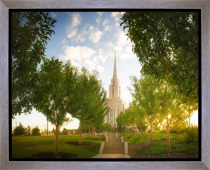 Oquirrh Mountain Golden Glow