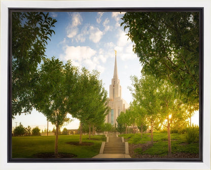 Oquirrh Mountain Golden Glow