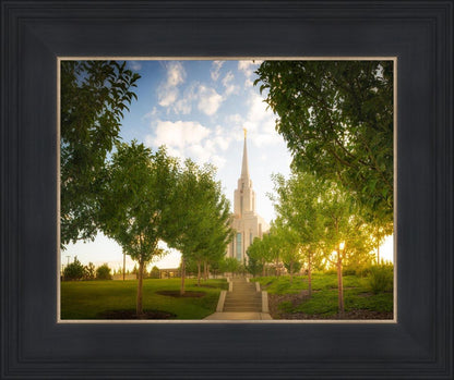 Oquirrh Mountain Golden Glow