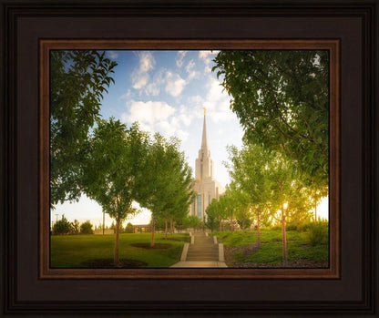 Oquirrh Mountain Golden Glow