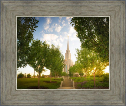 Oquirrh Mountain Golden Glow