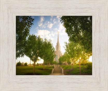 Oquirrh Mountain Golden Glow