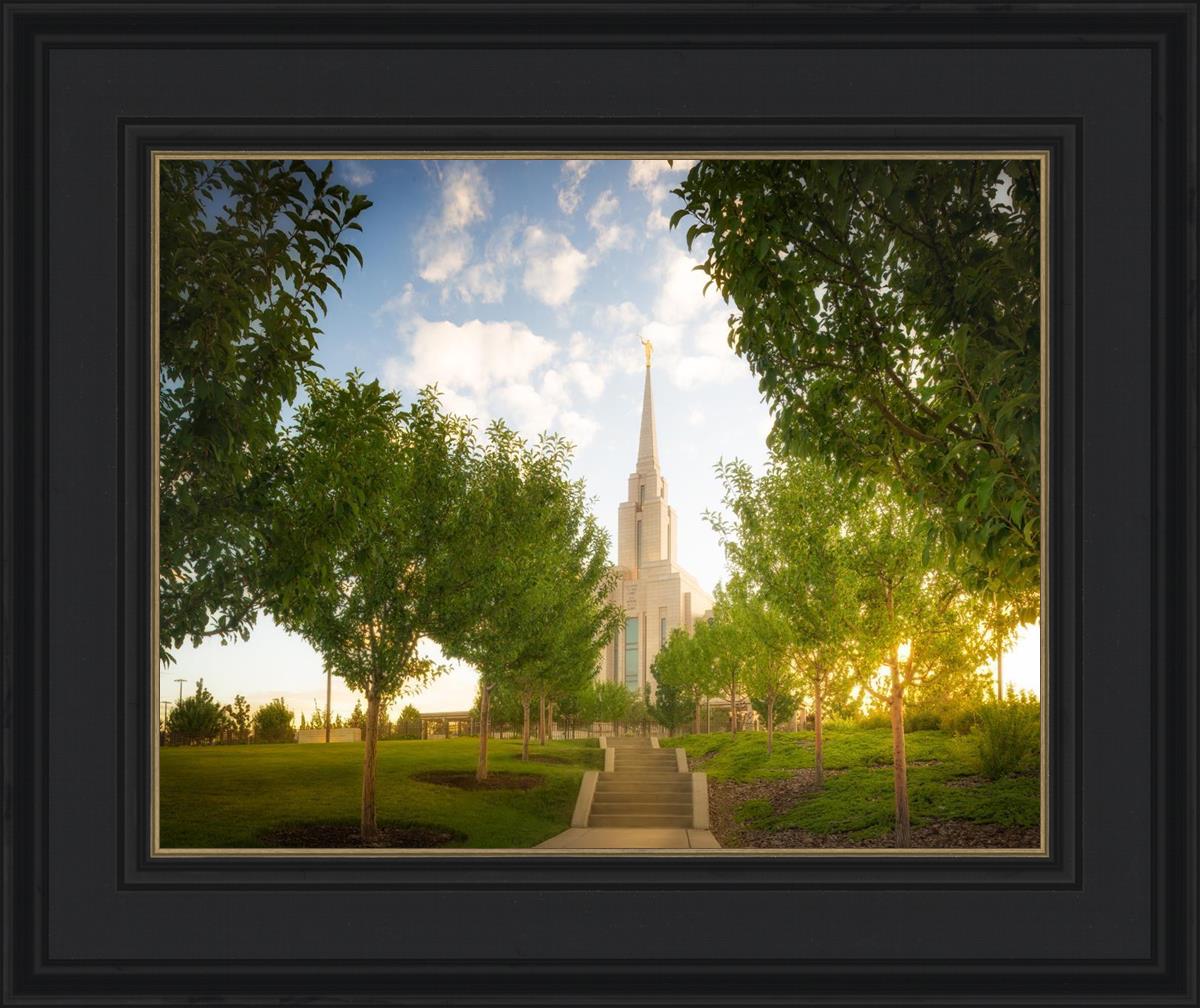Oquirrh Mountain Golden Glow