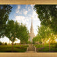Oquirrh Mountain Golden Glow