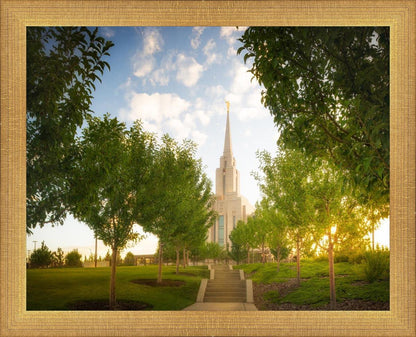 Oquirrh Mountain Golden Glow