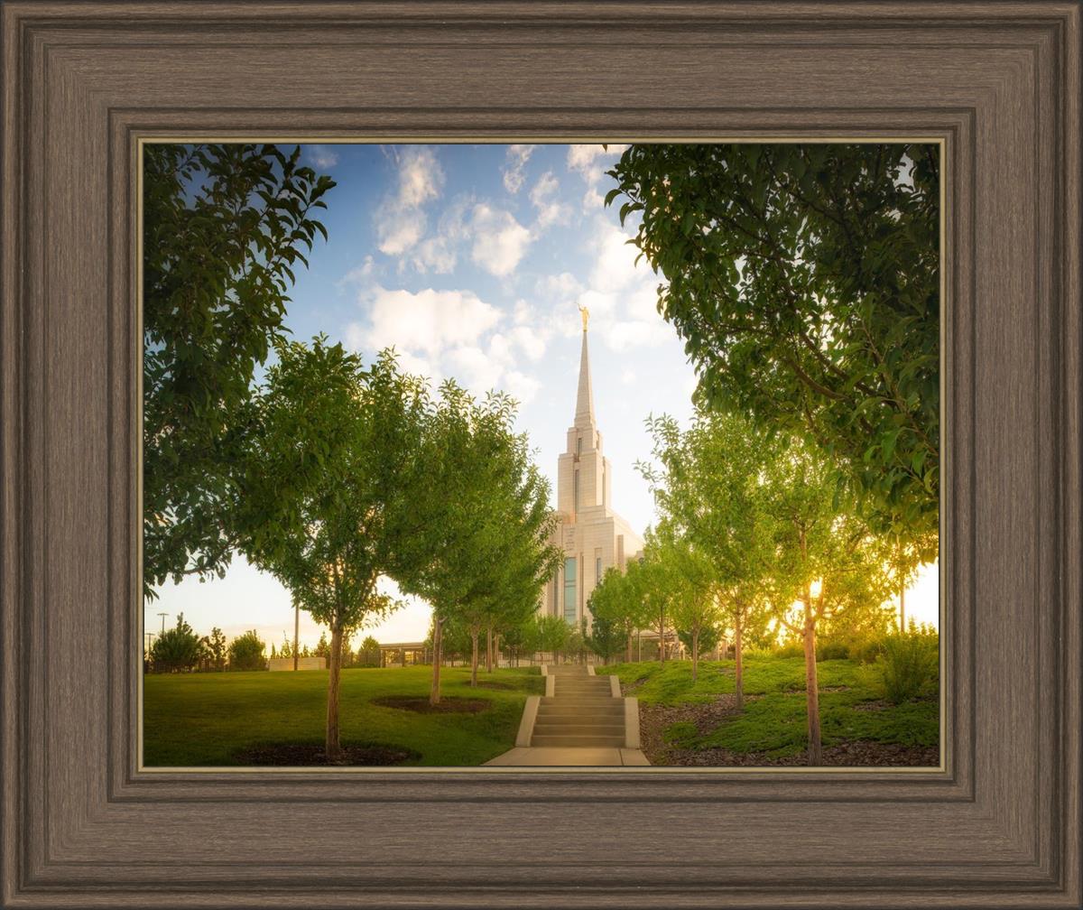 Oquirrh Mountain Golden Glow