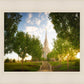 Oquirrh Mountain Golden Glow