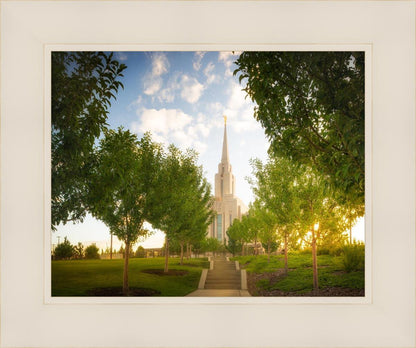 Oquirrh Mountain Golden Glow