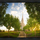Oquirrh Mountain Golden Glow