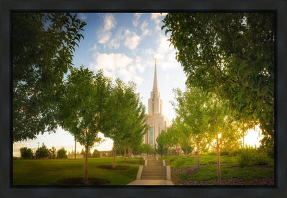 Oquirrh Mountain Golden Glow