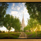 Oquirrh Mountain Golden Glow