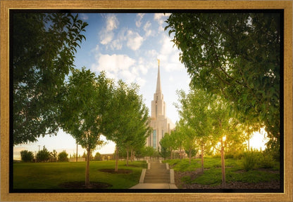 Oquirrh Mountain Golden Glow